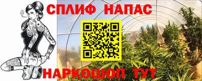 ГАЛЛЮЦИНОГЕННЫЕ ГРИБЫ Кулебаки