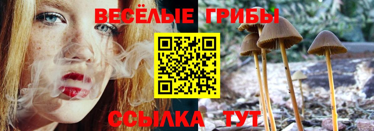 купить   Галлюциногенные грибы Psilocybine cubensis  Галлюциногенные грибы Psilocybine cubensis  Вход с VPN  Ефремов 